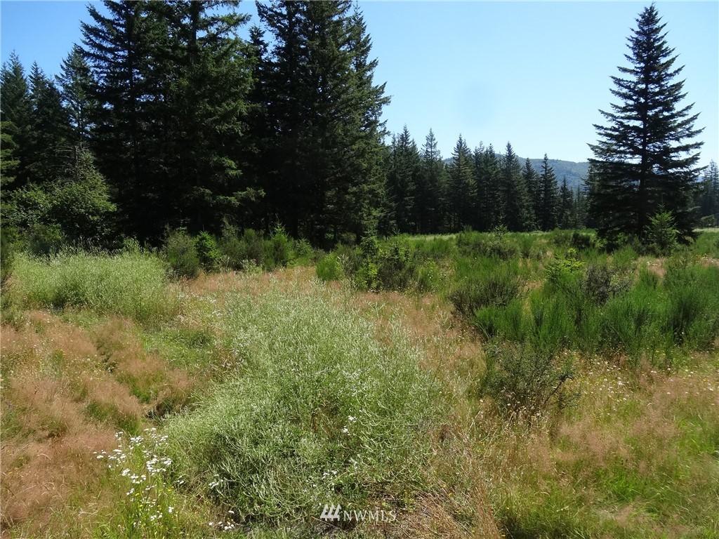 6089 South Pass Road Maple Falls, WA 98266 - Photo 3 of 6