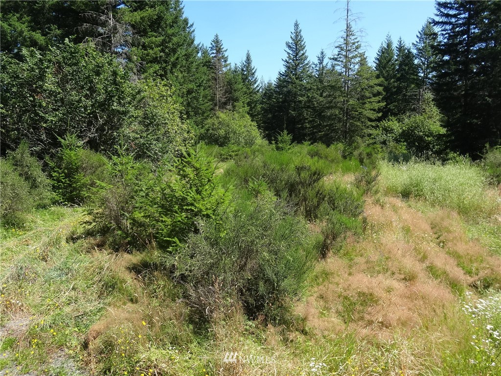 6089 South Pass Road Maple Falls, WA 98266 - Photo 4 of 6