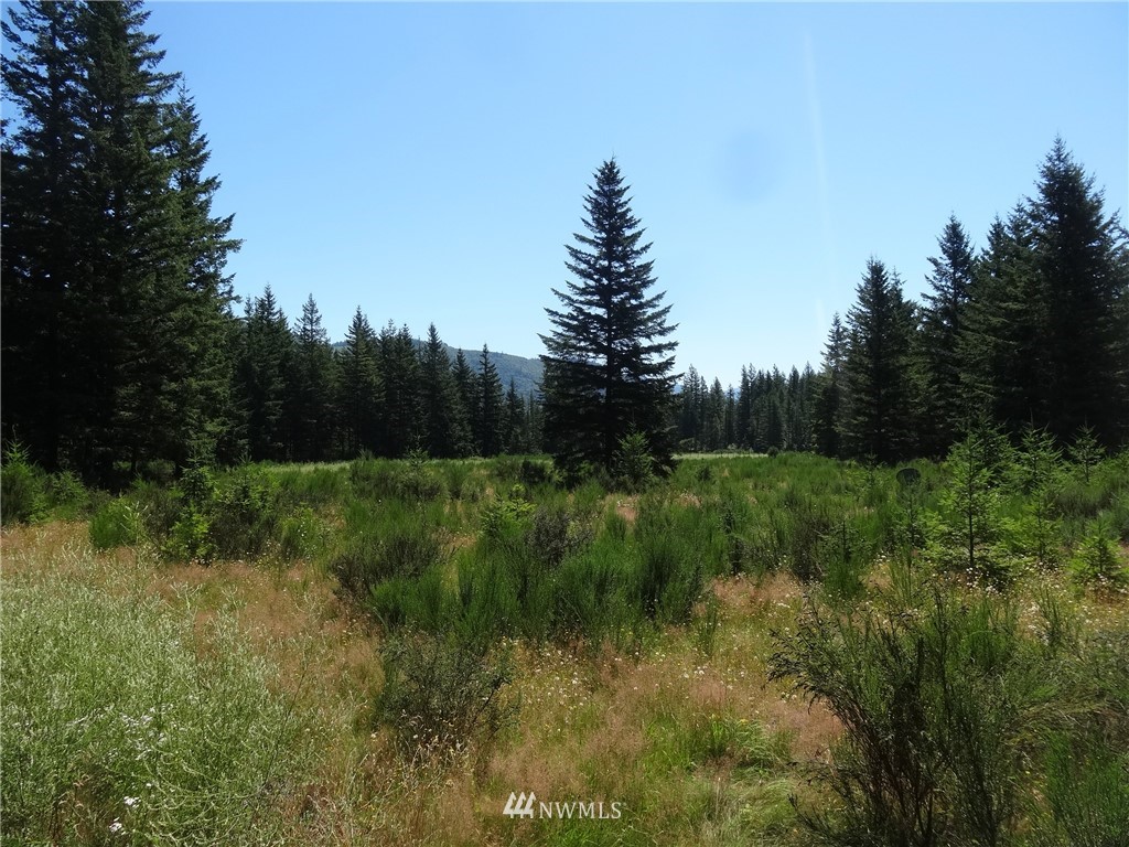 6089 South Pass Road Maple Falls, WA 98266 - Photo 5 of 6
