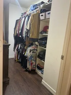a view of walk in closet with clothes and shoes