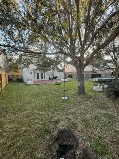 a view of a yard with large trees