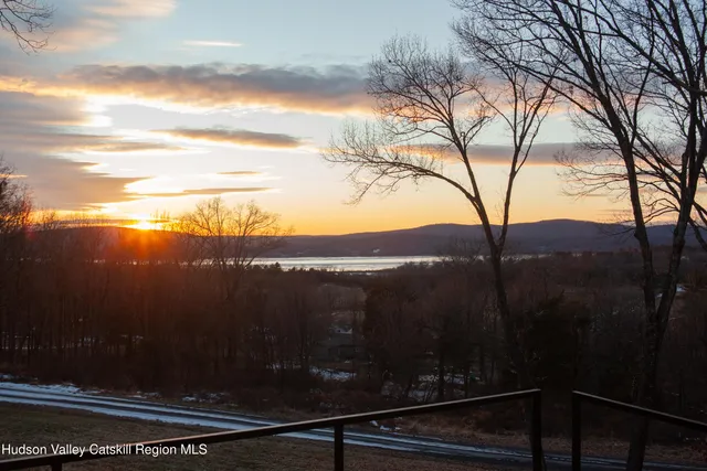 a view of a yard with a tree