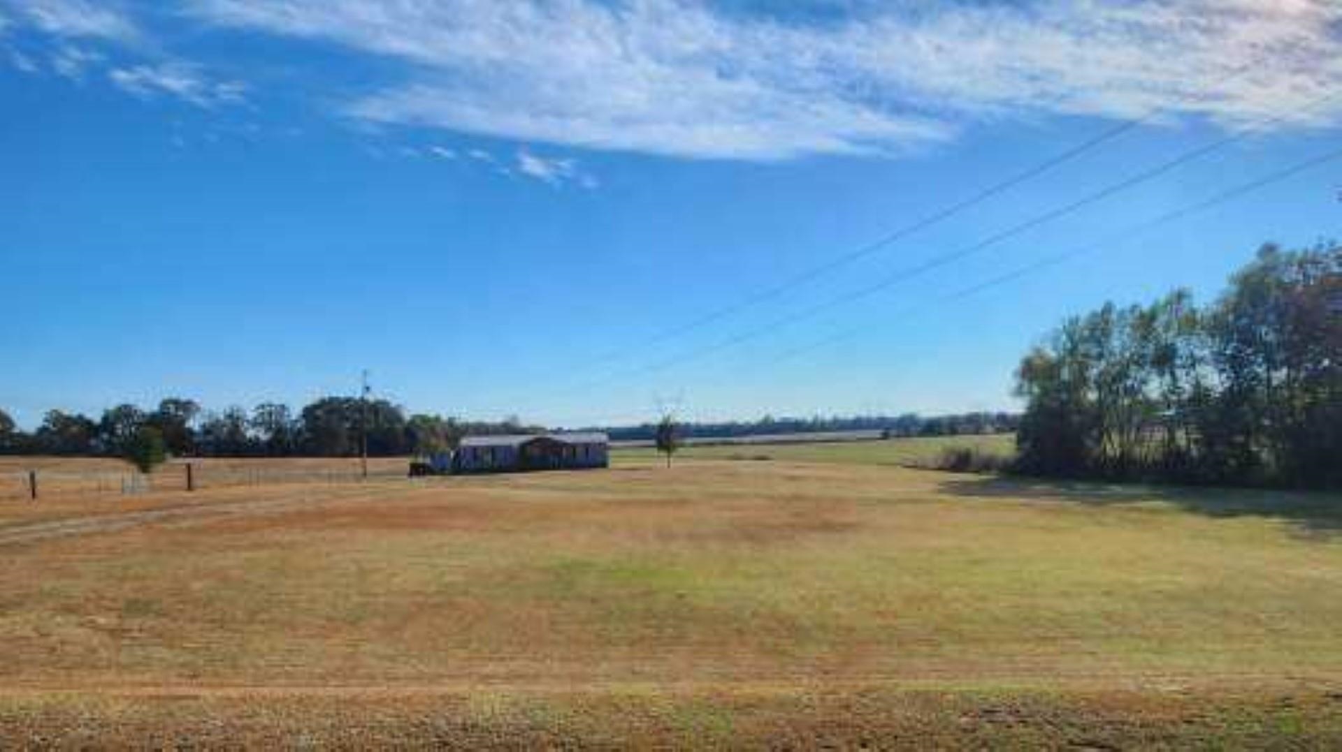 3595 Gainsville Road Mason, TN 38049 - Photo 5 of 28 a view of outdoor space and yard