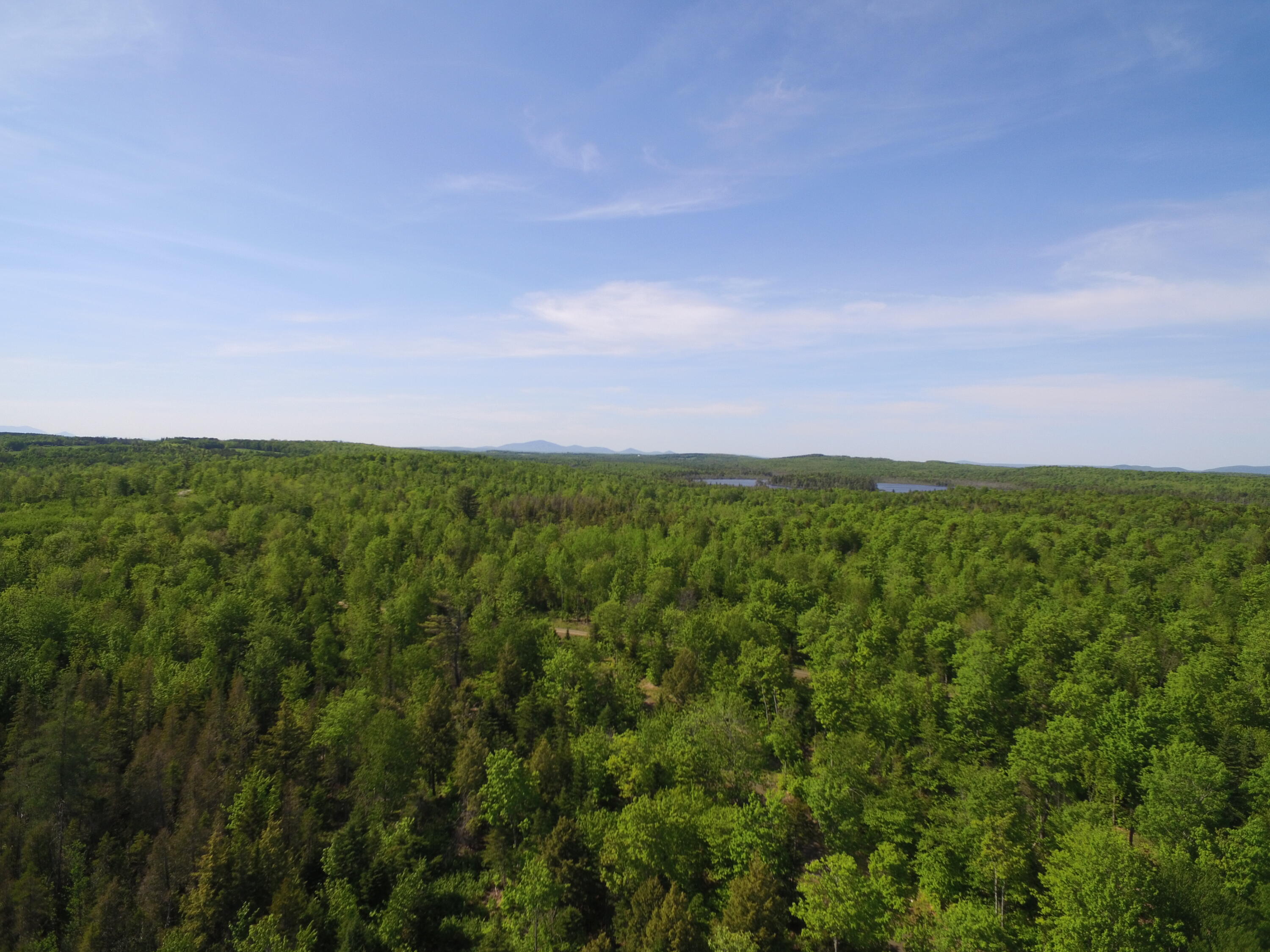 23 Applebee Drive Sherman, ME 04776 - Photo 33 of 38 DJI_0111