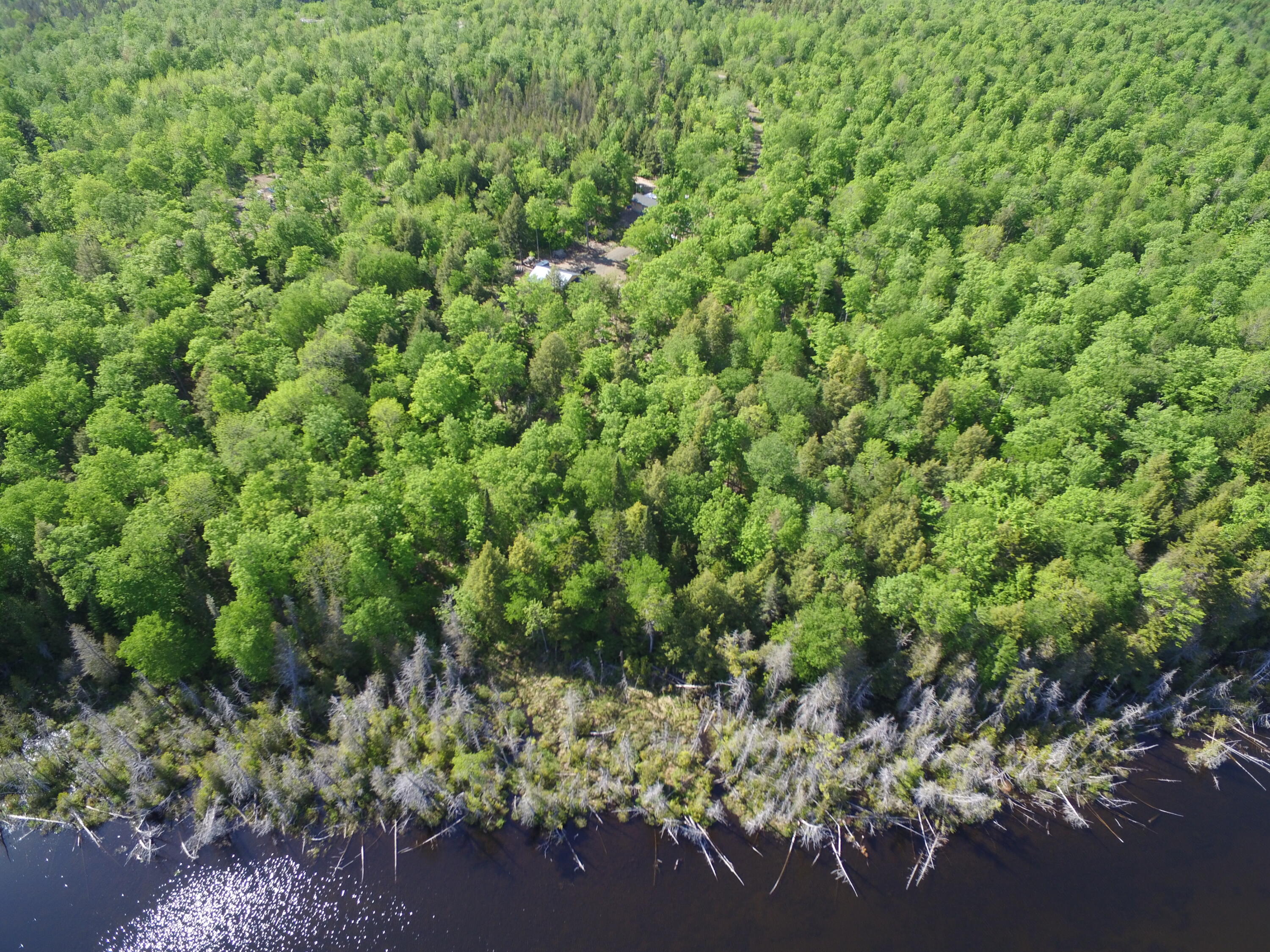23 Applebee Drive Sherman, ME 04776 - Photo 37 of 38 DJI_0116