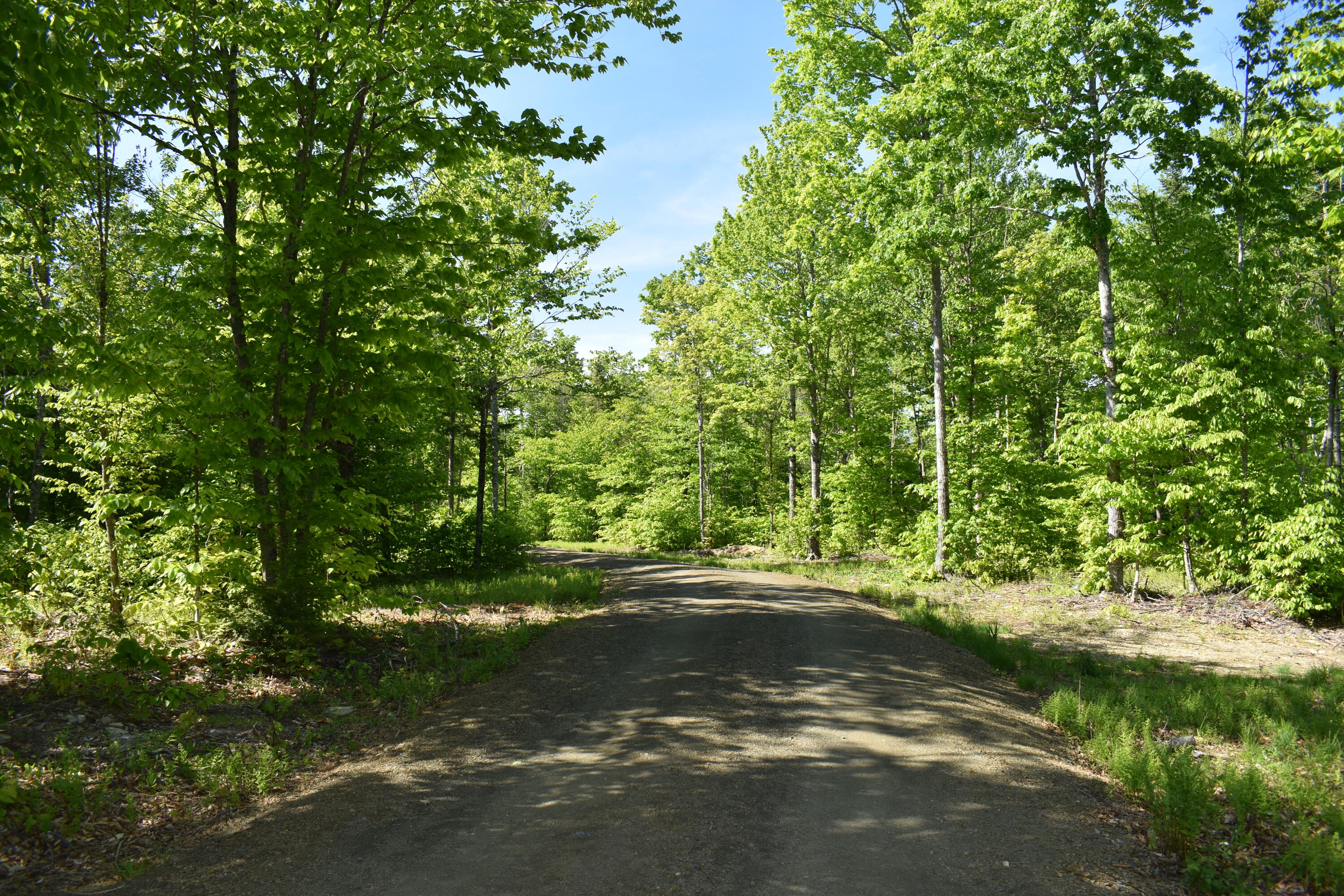 23 Applebee Drive Sherman, ME 04776 - Photo 4 of 38 DSC_0382