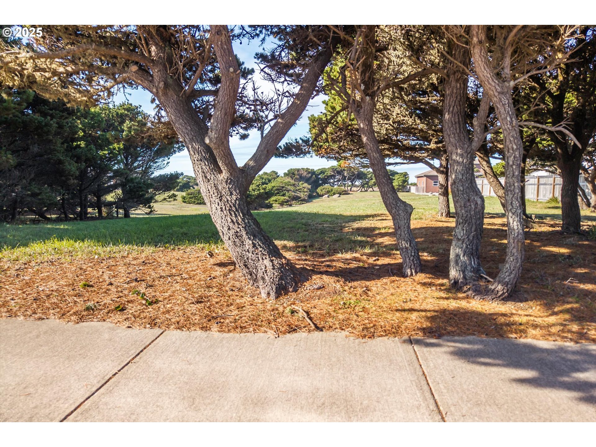 0 Beach Loop Road Southwest Bandon, OR 97411 - Photo 21 of 23 a view of a yard with trees