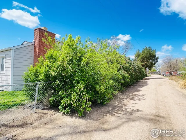 a view of a pathway both side of flower plants