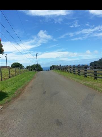 33 Kaluhea Place Haiku, HI 96708 - Photo 15 of 24 a view of a lake with houses