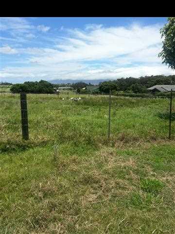 33 Kaluhea Place Haiku, HI 96708 - Photo 17 of 24 a view of a green yard with an outdoor space