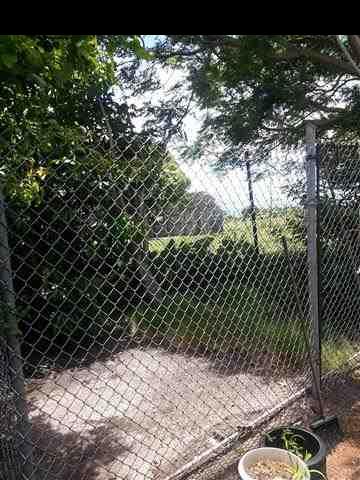 33 Kaluhea Place Haiku, HI 96708 - Photo 18 of 24 a view of a yard