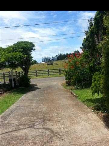 33 Kaluhea Place Haiku, HI 96708 - Photo 19 of 24 a view of outdoor space and yard