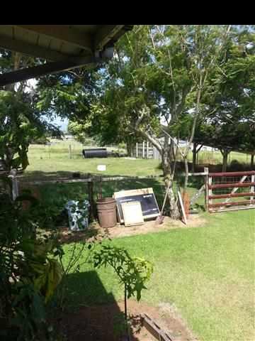 33 Kaluhea Place Haiku, HI 96708 - Photo 20 of 24 a view of a garden with an outdoor space