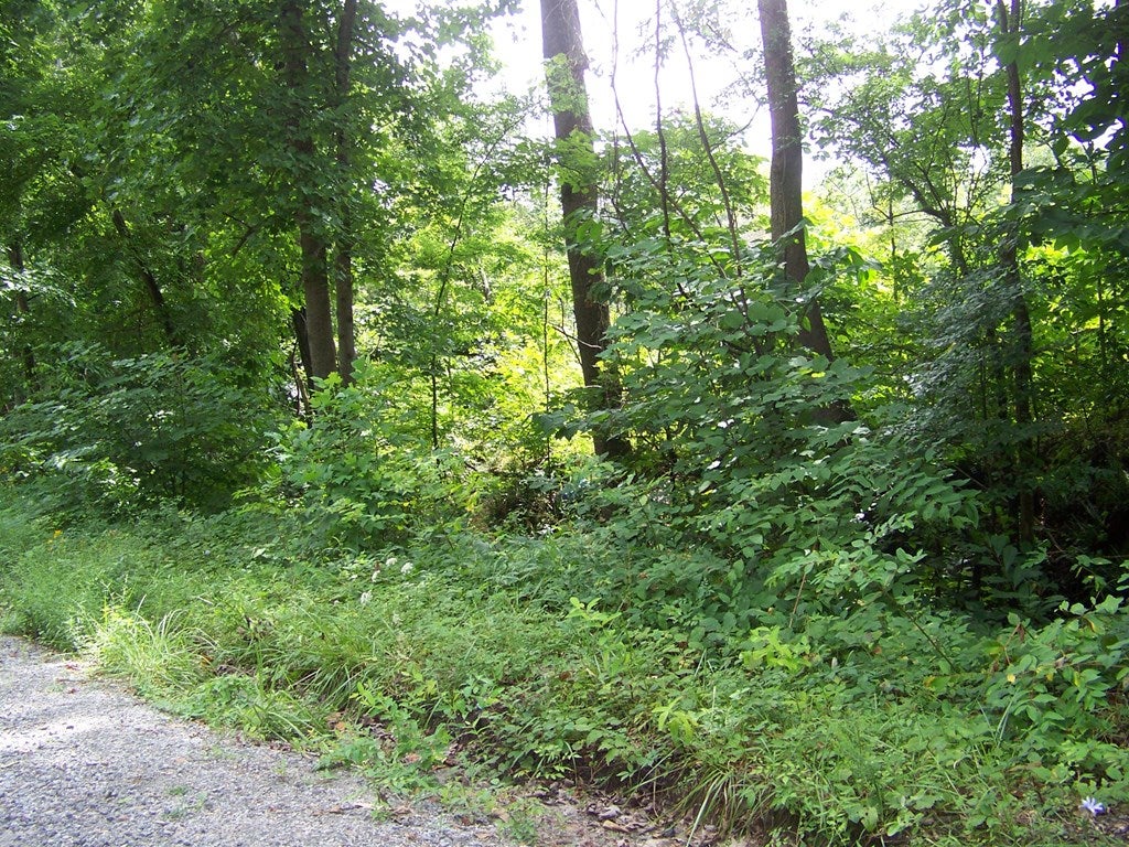 624 Cata Road, Unit 3 Cumberland, VA 23040 - Photo 9 of 9 Gallery Image 9