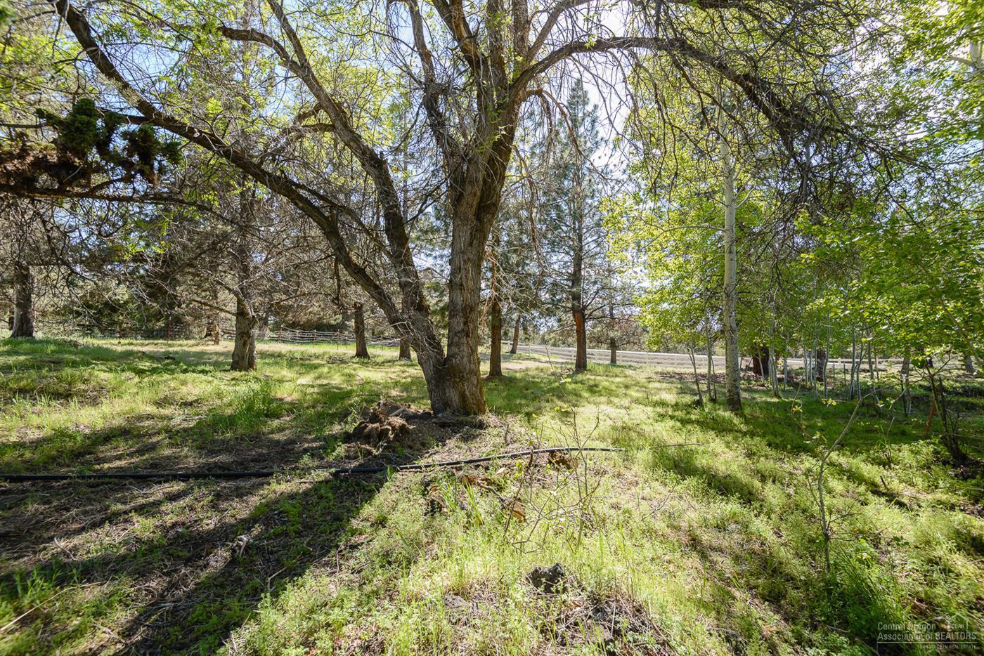 63050 Dickey Road Bend, OR 97701 - Photo 17 of 25 Additional Photo