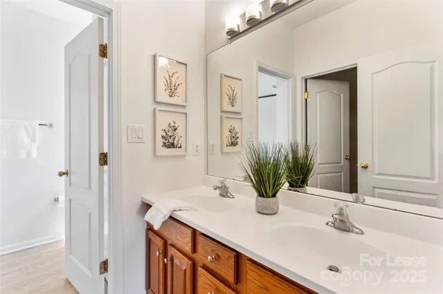 a bathroom with a sink a mirror and a potted plant