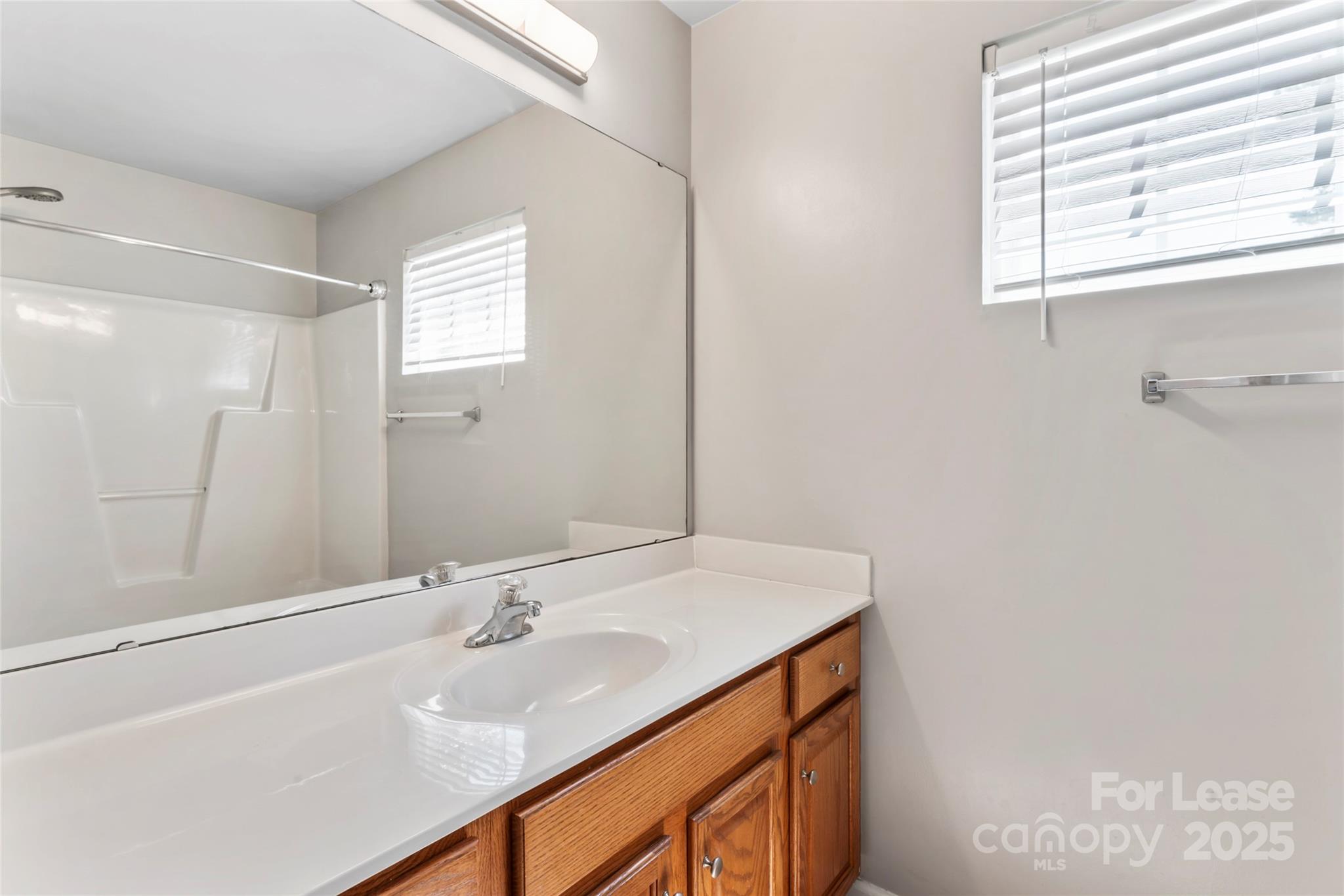 2003 Red Carpet Court Indian Trail, NC 28079 - Photo 5 of 28 a bathroom with a sink and a mirror