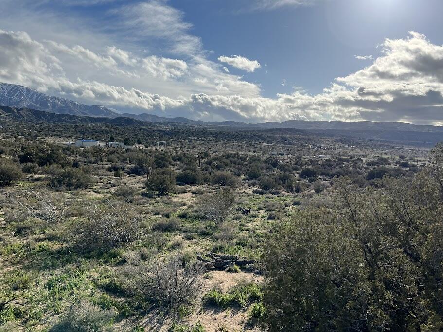 0 Fort Tejon Road Pearblossom, CA 93553 - Photo 12 of 24 fort tejon lot 13 clouds and blue