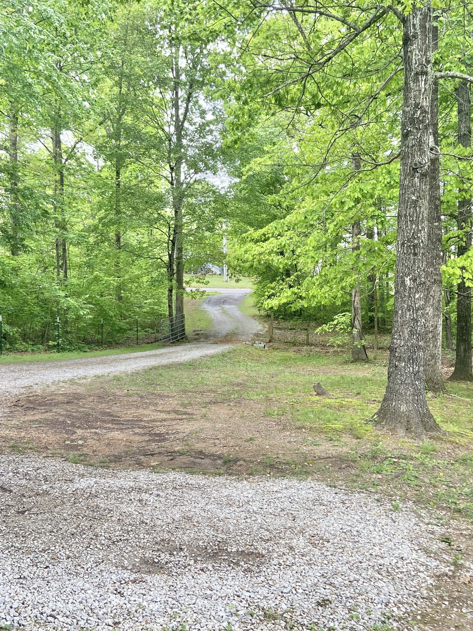 1050 West Point Road Lawrenceburg, TN 38464 - Photo 15 of 17 a backyard of a house with lots of green space