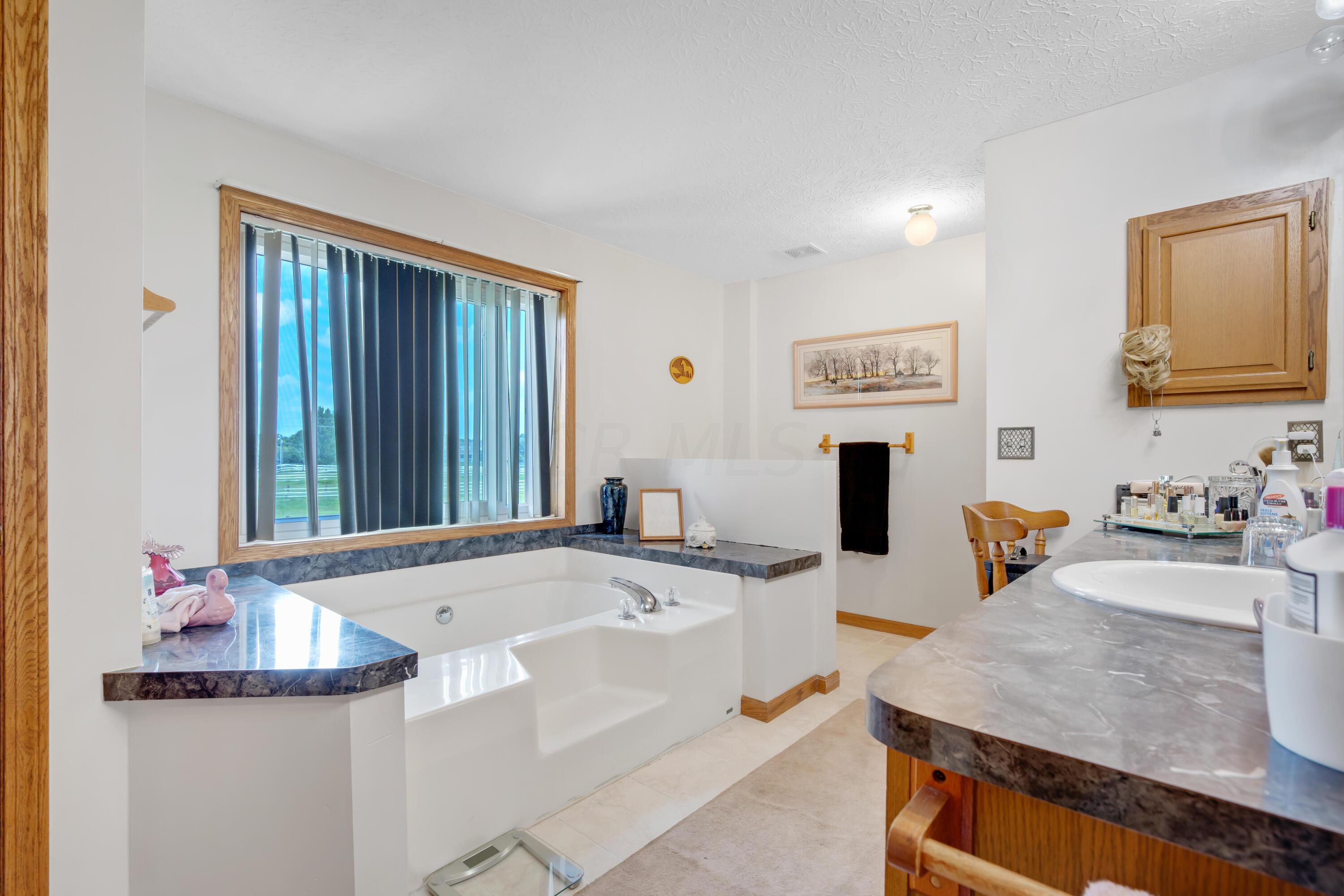 1675 Braumiller Road Delaware, OH 43015 - Photo 28 of 71 28. Primary Bath
