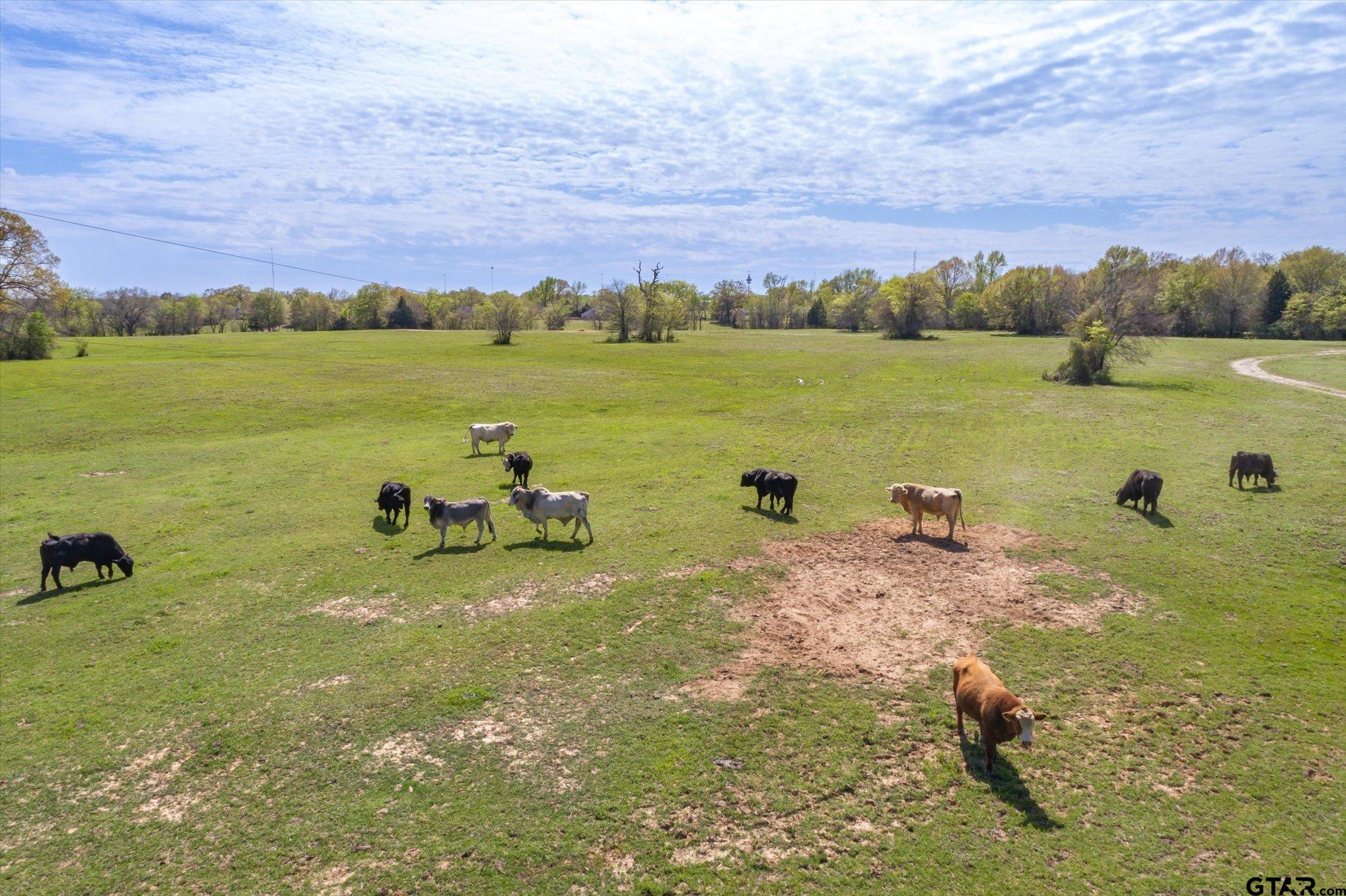 0 Oklahoma Street Van, TX 75790 - Photo 19 of 25 a view of a lake with a yard