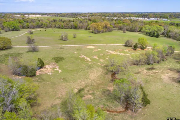 a view of a lake with a mountain