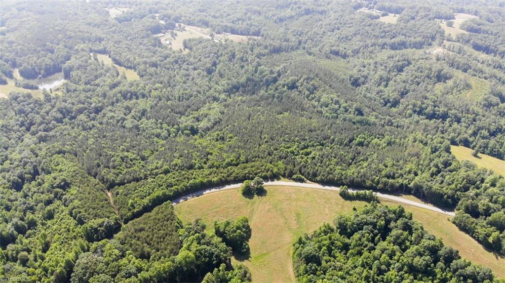 61.75 Delta Church Road Sandy Ridge, NC 27046 - Photo 11 of 22