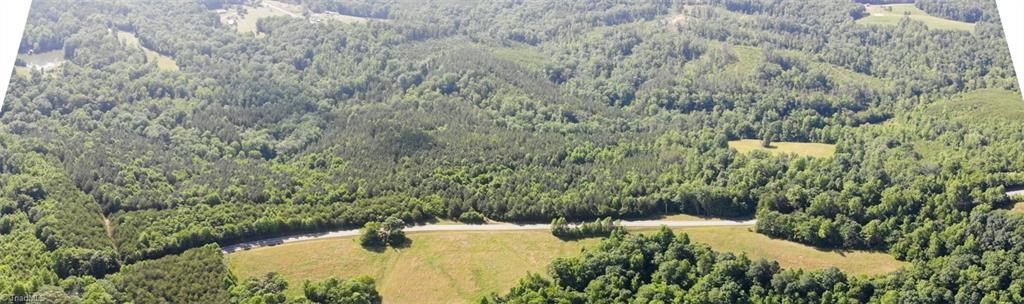 61.75 Delta Church Road Sandy Ridge, NC 27046 - Photo 12 of 22