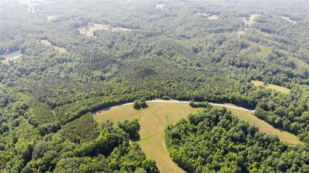 61.75 Delta Church Road Sandy Ridge, NC 27046 - Photo 13 of 22