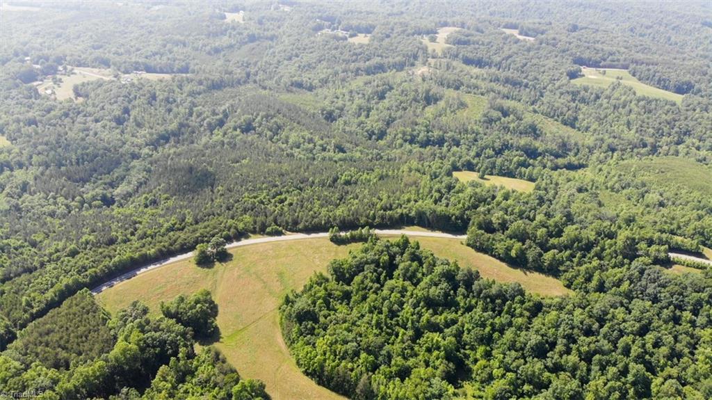 61.75 Delta Church Road Sandy Ridge, NC 27046 - Photo 14 of 22