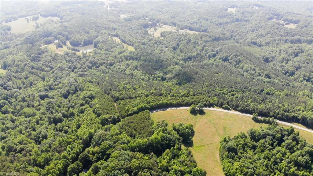 61.75 Delta Church Road Sandy Ridge, NC 27046 - Photo 15 of 22