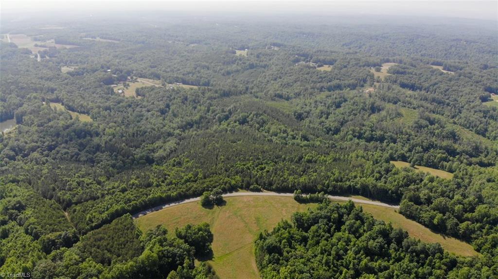 61.75 Delta Church Road Sandy Ridge, NC 27046 - Photo 16 of 22