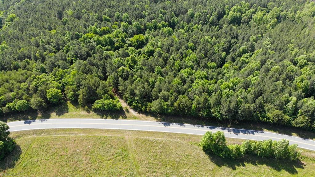 61.75 Delta Church Road Sandy Ridge, NC 27046 - Photo 18 of 22