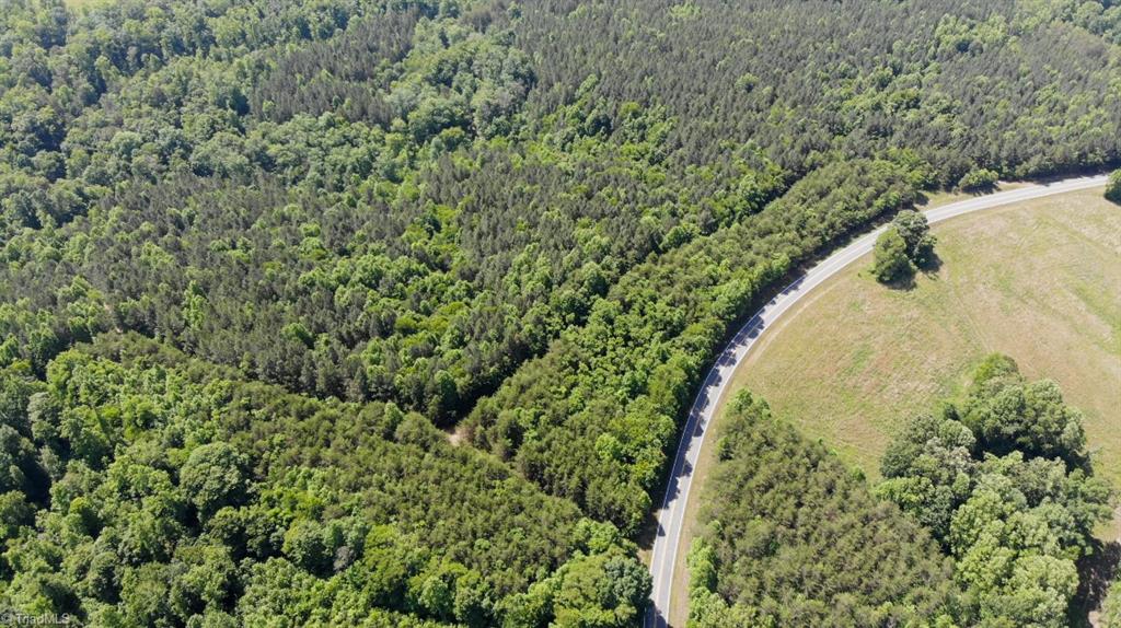 61.75 Delta Church Road Sandy Ridge, NC 27046 - Photo 19 of 22