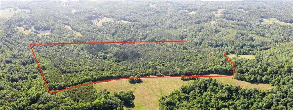 61.75 Delta Church Road Sandy Ridge, NC 27046 - Photo 2 of 22