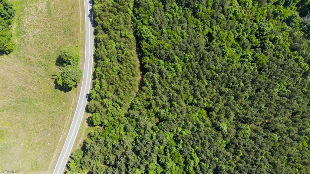 61.75 Delta Church Road Sandy Ridge, NC 27046 - Photo 21 of 22