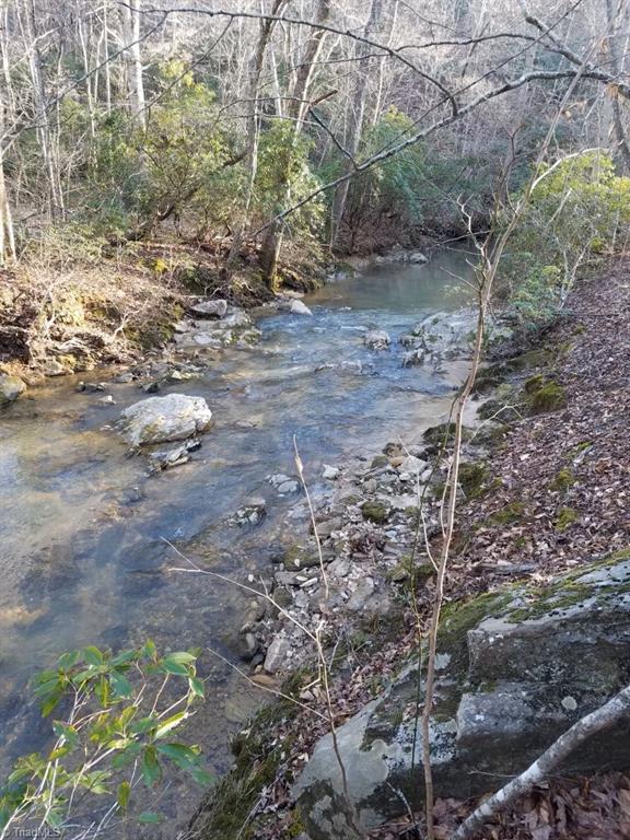 61.75 Delta Church Road Sandy Ridge, NC 27046 - Photo 3 of 22