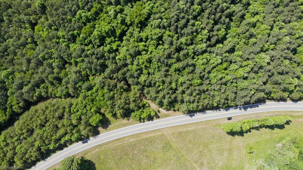61.75 Delta Church Road Sandy Ridge, NC 27046 - Photo 4 of 22