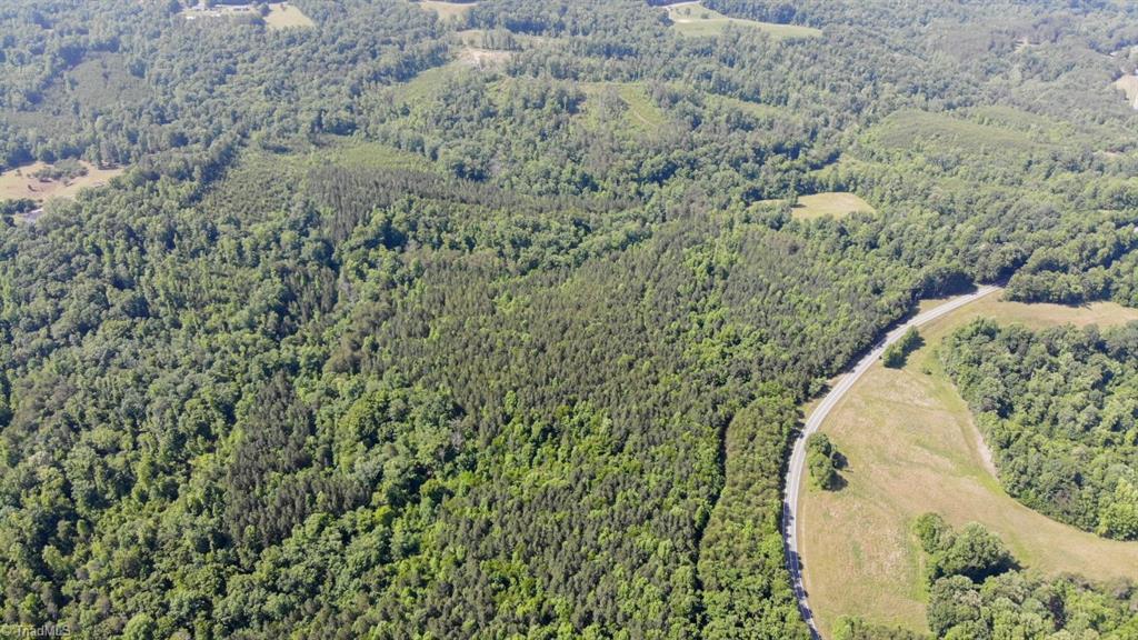 61.75 Delta Church Road Sandy Ridge, NC 27046 - Photo 5 of 22