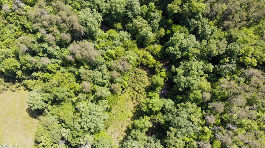 61.75 Delta Church Road Sandy Ridge, NC 27046 - Photo 6 of 22
