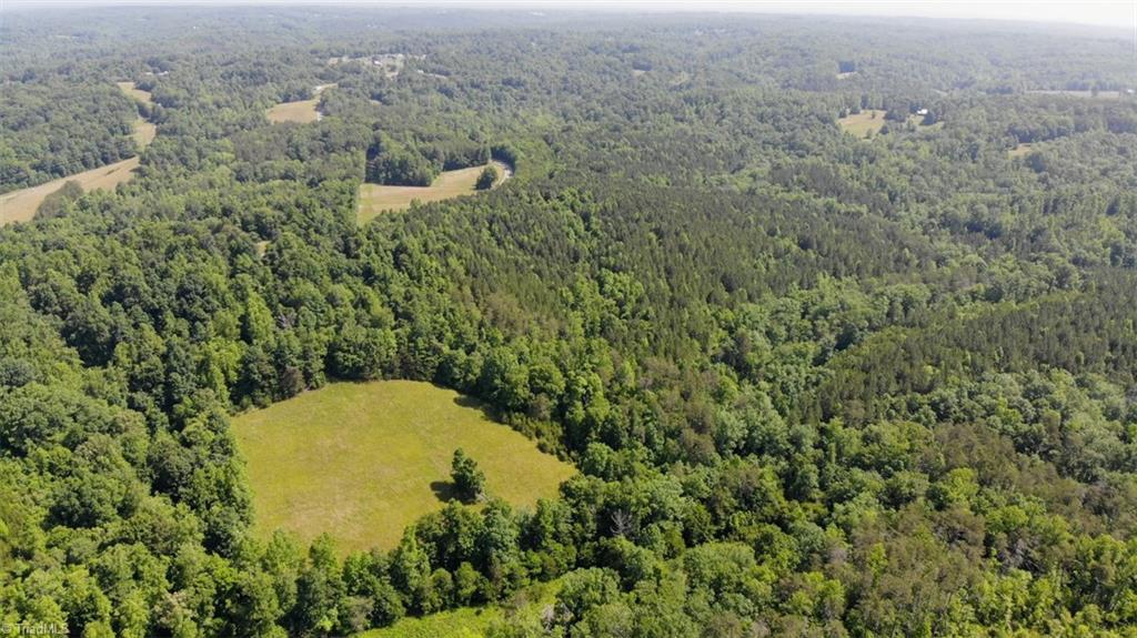 61.75 Delta Church Road Sandy Ridge, NC 27046 - Photo 7 of 22