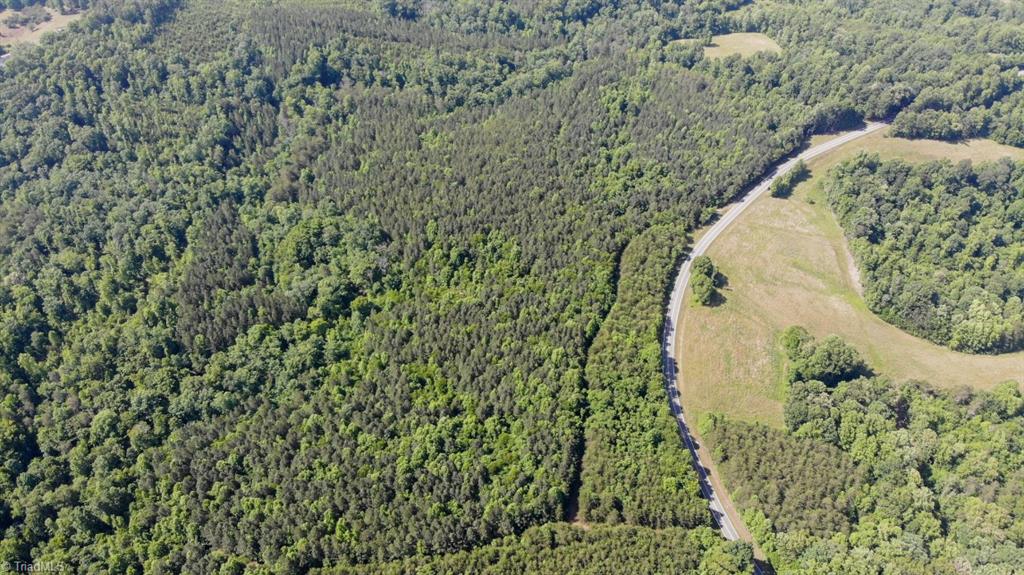 61.75 Delta Church Road Sandy Ridge, NC 27046 - Photo 9 of 22
