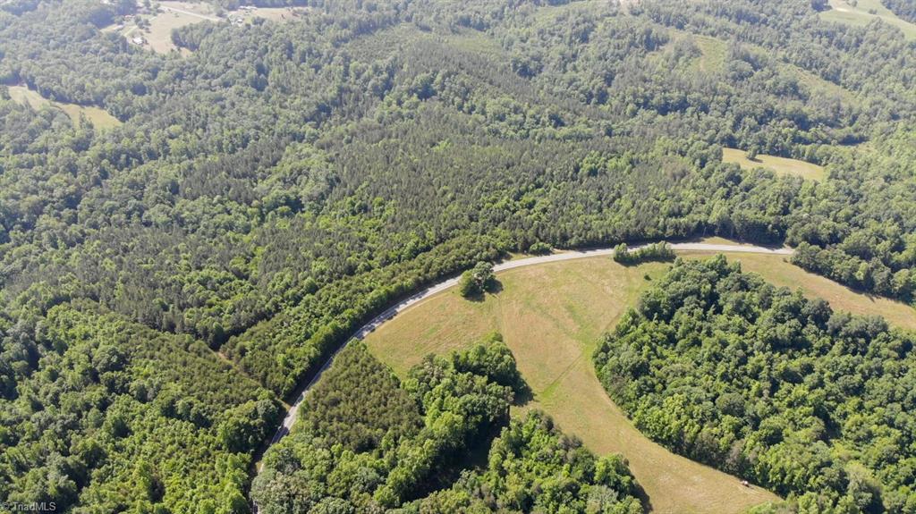 61.75 Delta Church Road Sandy Ridge, NC 27046 - Photo 10 of 22