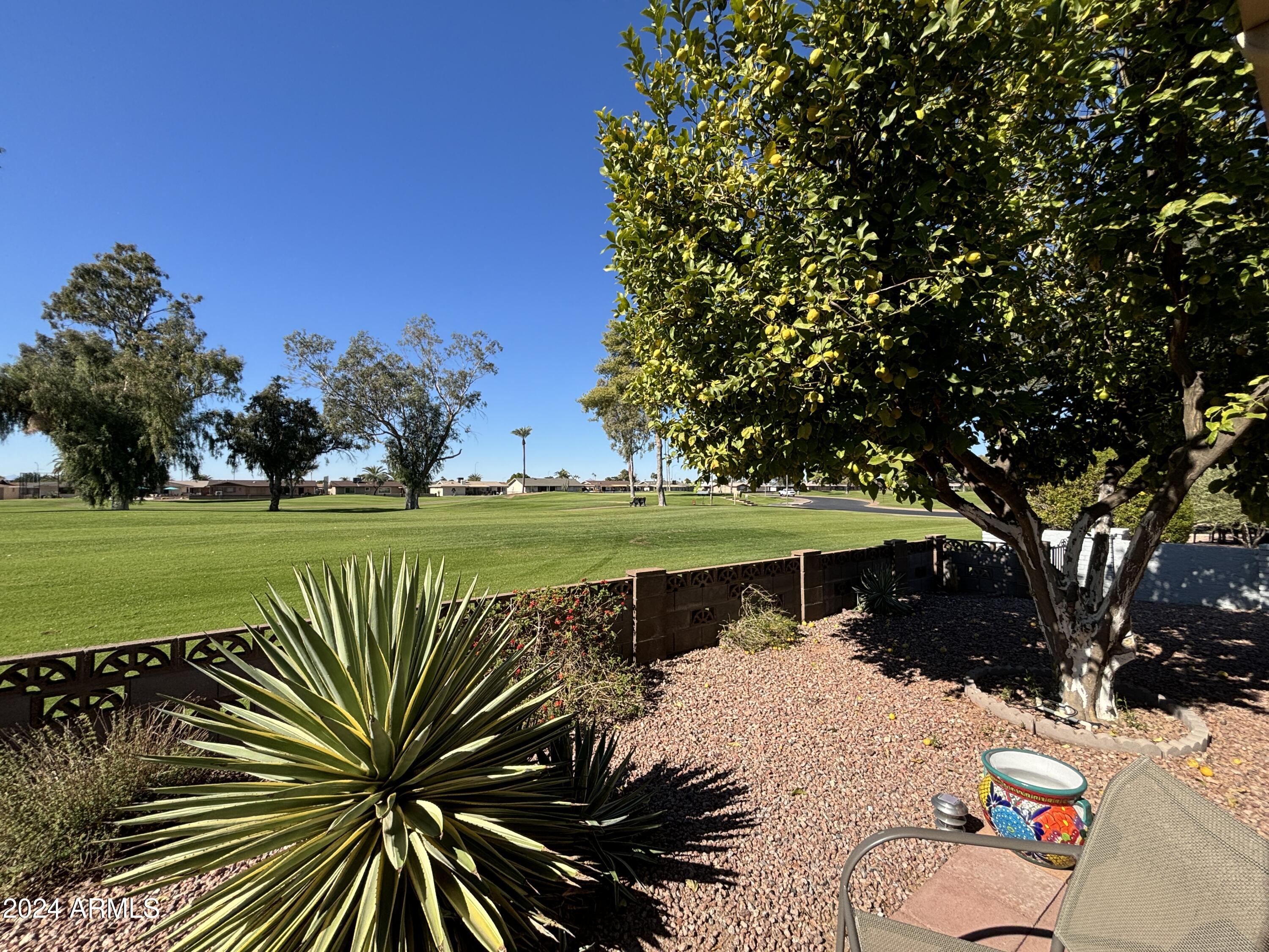 1034 South Racine Mesa, AZ 85206 - Photo 30 of 35 29