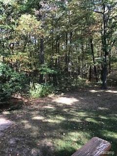 4901 Richardson Road Howell, MI 48843 - Photo 35 of 39 IMG_9408.JPG