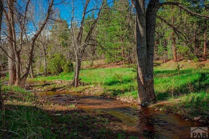 5207 Northcreek Road Beulah, CO 81023 - Photo 47 of 56
