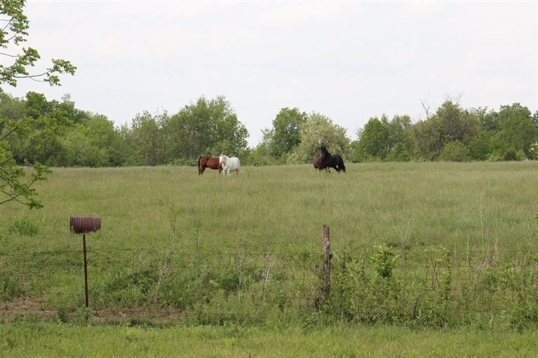 5353 Stewart Road Lexington, KY 40516 - Photo 14 of 22 Photo 14