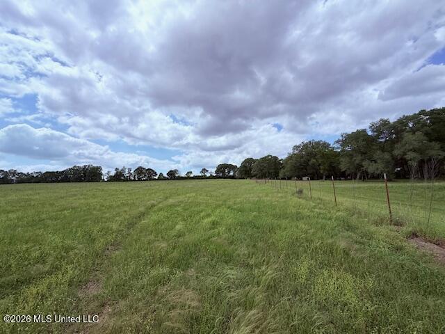 37 Fortenberry Road Tylertown, MS 39667 - Photo 46 of 83 IMG_3680 - Copy