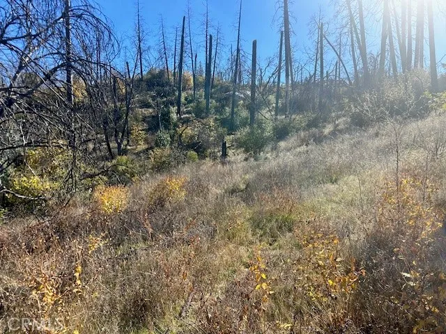 a view of a street sign
