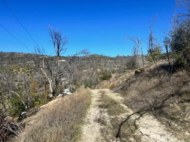 a view of a yard with trees